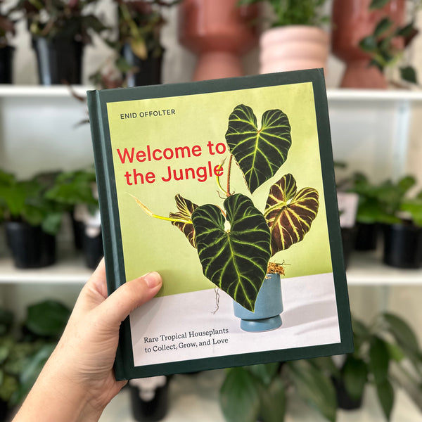 Welcome to the Jungle: Rare Tropical Houseplants to Collect, Grow, and Love.