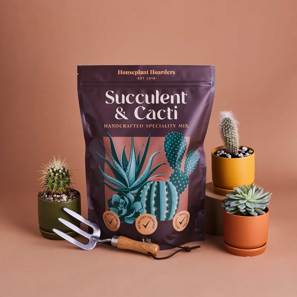 Succulent & Cacti Speciality Mix 3.5L