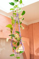 Resin Plant Hanger in Lilac by Woljam