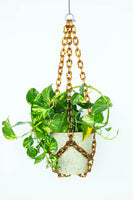 Resin Plant Hanger in Tortoise by Woljam