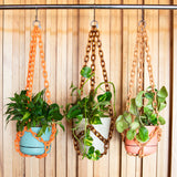 Resin Plant Hanger in Tortoise by Woljam