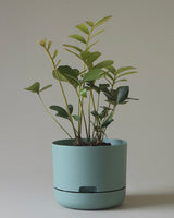 215mm Mr Kitly Self Watering Plant Pot - Cabinet Green
